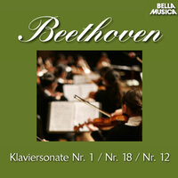 Klaviersonate No. 1 in F Minor, Op. 2, No. 1: I. Allegro - Paul Badura-Skoda & Ludwig van Beethoven