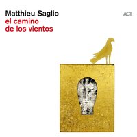 Amanecer - Matthieu Saglio & Steve Shehan & Nils Petter Molvær