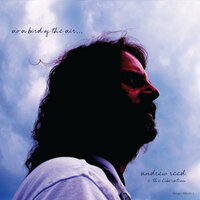 Musical Woman - andrew reed & the liberation