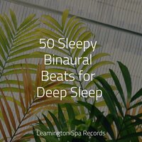 Warm Feelings Inside - The Rainforest Collective & Deep Horizon Waves & Zen Meditate