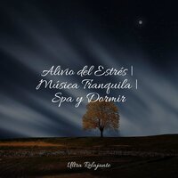 En La Distancia - Meditar Profundamente & Música de la Naturaleza & Canciones De Cuna Para Dormir Bebes