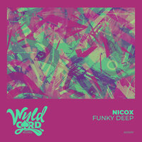 Funky Deep - Nicox