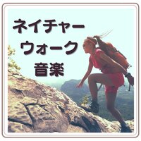 エネルギー浄化音楽 - White Noise