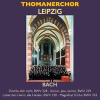 Lobet den Herrn, alle Heiden in C Major, BWV 230: No. 2, Denn seine Gnade und Wahrheit - Thomanerchor Leipzig & Günther Ramin & Ekkehard Tietze & Georg Bleyer & Horst Stöhr & Johann Sebastian Bach