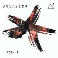 I Really Need Your Body - Pushking