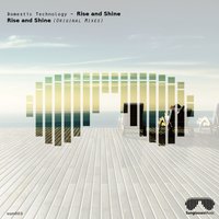 Shine - Domestic Technology