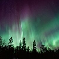 Softly Spoken - Restaurant Music Academy, Serenity Spa Music Relaxation, Sleep Meditation Dream Catcher & Serenity Spa Music Relaxation & Sleep Meditation Dream Catcher & Restaurant Music Academy