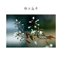 阳春白雪 - 水墨民乐
