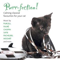 Sonata Violino Solo Representativa (Representative Sonata for Solo Violin): Die Katz (The Cat) - Elizabeth Wallfisch & Rosanne Hunt & Генрих Игнац Франц фон Бибер