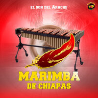 Ojala Y Te Animes - Marimba De Chiapas