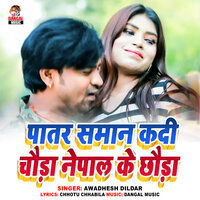 Patar Saman Kadi Chaura Nepal Ke Chhaura - Awadhesh Dildar & Dangal Music