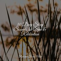 Connectivity - Guided Meditation & Baby Sleep Music & Relaxing Mindfulness Meditation Relaxation Maestro