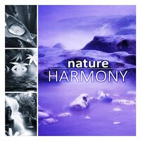 Peaceful Music (Nature Sea) - Universe of Nature Orchestra