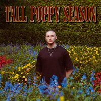 TALL POPPIES NEVER DIE - Nerve