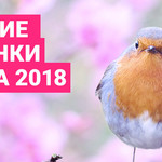 Лучшие новинки марта 2018