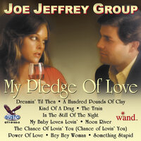 Something Stupid - Joe Jeffrey Group