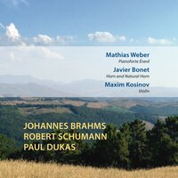 III. Adagio mesto - Javier Bonet & Mathias Weber & Maxim Kosinov & Иоганнес Брамс