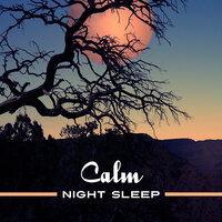 Night Inspiration - Ambient Music Therapy (Deep Sleep, Meditation, Spa, Healing, Relaxation)
