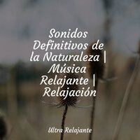 Tiempo Y Lugar En Tu Mente - Entrenamiento Autógeno y Meditación Specialistas & Dormir Mucho & Sonidos de la Naturaleza Relajacion