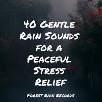 Birds at Sunset - Sleep Waves & Relaxing Rain Sounds & Tinnitus Aid
