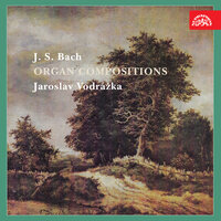 Christ, unser Herr, zum Jordan kam, BWV 684 - Jaroslav Vodrážka & Johann Sebastian Bach