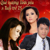 Trích đoạn cải lương: Bà mẹ điên - Phi Nhung