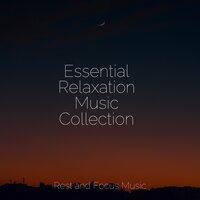 Smooth Sensations - Ambientalism & Kings of Nature & Kinderlieder Megastars