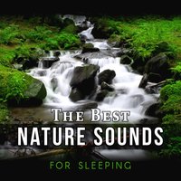 Falling Asleep Music - Deep Sleep Music Ensemble