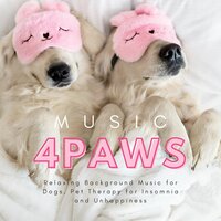 Dog Whisper - Wellness Shades