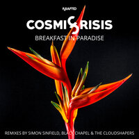 Breakfast in Paradise - Cosmic Crisis & Simon Sinfield
