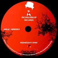 Wednesday Rain - Jorge Herrera