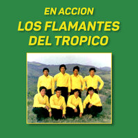 Andele Rosita - Los Flamantes Del Trópico