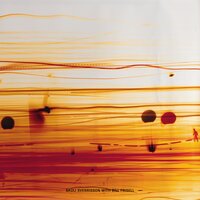 Segment - Skúli Sverrisson & Bill Frisell
