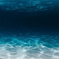 Sounds of the Ocean - Ocean Sounds FX & Sounds of Nature Noise & Ocean Waves