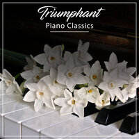 Beethoven's Sonata No 7 in D Major Op 10 No 3 II Largo e Mesto - Piano for Studying, Relaxaing Chillout Music, Piano: Classical Relaxation & Relaxaing Chillout Music & Piano: Classical Relaxation & Piano for Studying