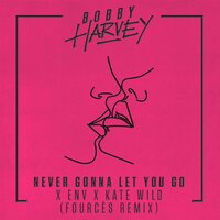 Never Gonna Let You Go - Bobby Harvey & Env & Kate Wild & Fourcès