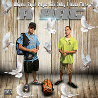 Paint - Alligator Papuh Playuz & Rich Daddy & Flawda Mane