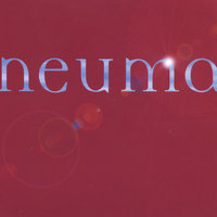 End of the Street - Neuma