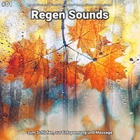 Regen Sounds, pt. 88 - Regengeräusche zum Einschlafen Lars Honn & Regengeräusche & Naturgeräusche
