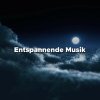 Musik zu Lernen und Studieren - Schlaflieder 101
