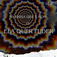 Na Brisa Que É Bom Vs Ela Quer Fuder - DJ LZ 011 & DJ Patrick Muniz & DJ RLC