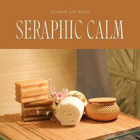 Ambient Alchemy - Ultimate Spa Music