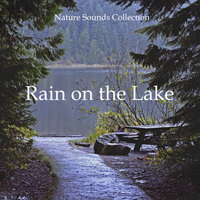 Nature Sounds Rain on the Lake, Pt. 07 - Rain Sounds & Nature Sounds & Forest Sounds