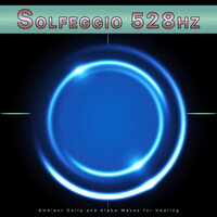Binaural Beats Music and Relaxation - Brain Waves Therapy & Solfeggio Frequencies 528Hz & Solfeggio