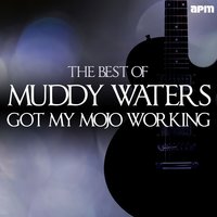 Walkin' Blues - Muddy Waters