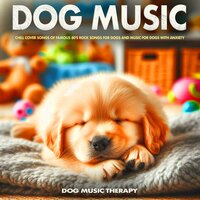 Almost Paradise - Pet Care Club & Dog Music Therapy & Dog Music