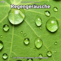 Regengeräusche, pt. 78 - Gerold Erns & Rain Sounds & Nature Sounds