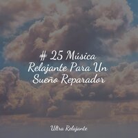 Nieblas De Dulzura - Academia de Meditação Buddha & Canção de Ninar Bebê & Meditacion Budista Maestros