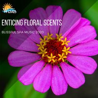 Peaceful Heart - Sanct Devotional Club & Ambient 11