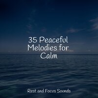 Soothing Placement - mindfulness meditation world & Deep Sleep Relaxation & Healing Sounds for Deep Sleep and Relaxation